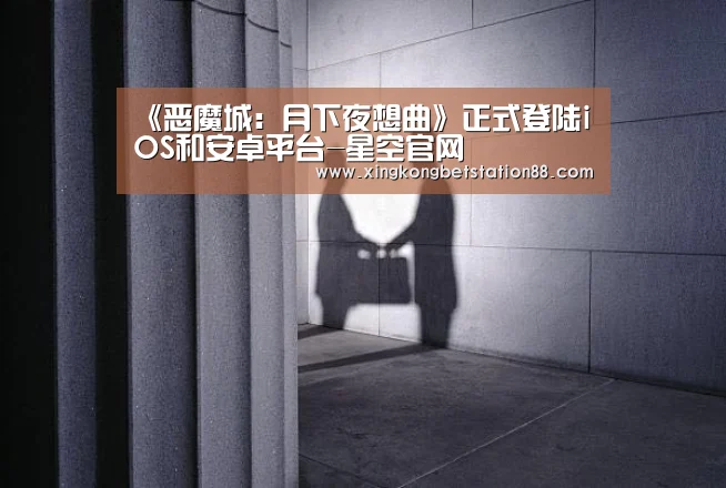 星空娱乐