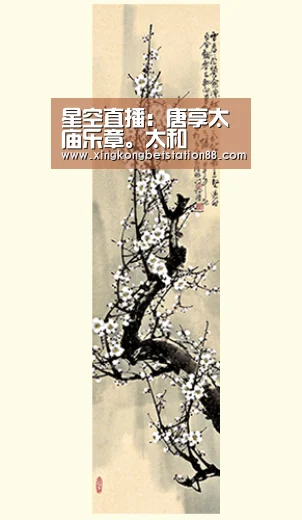 星空竞猜